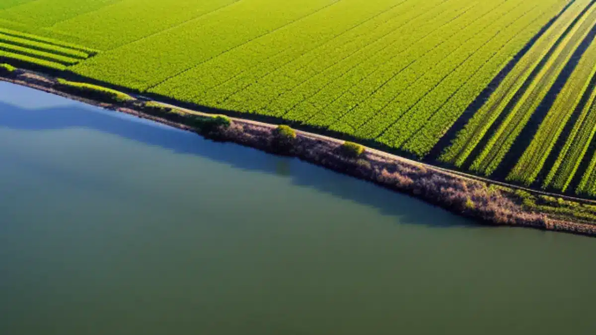 As Plantações de Soja e o Impacto Ambiental causado na Água e Solo