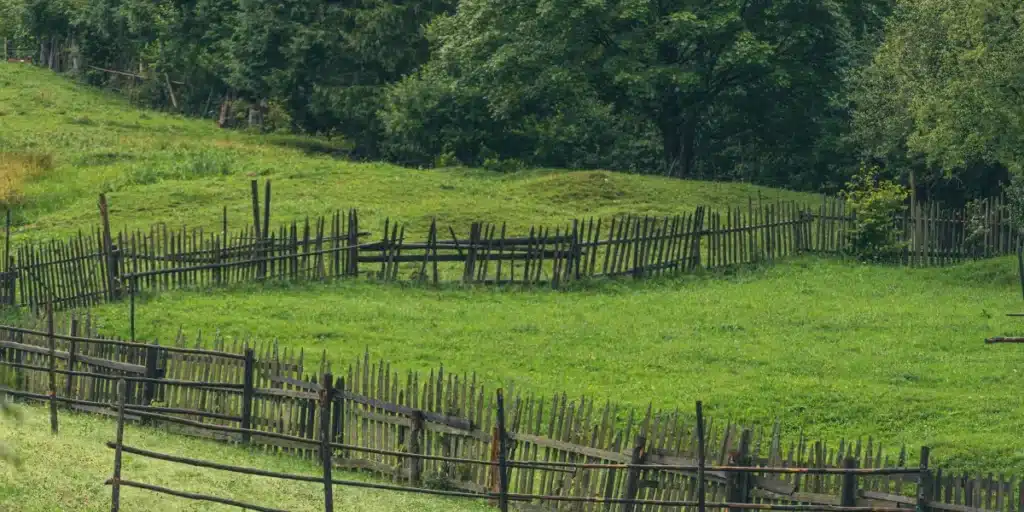 Alteração de Reserva Legal Averbada