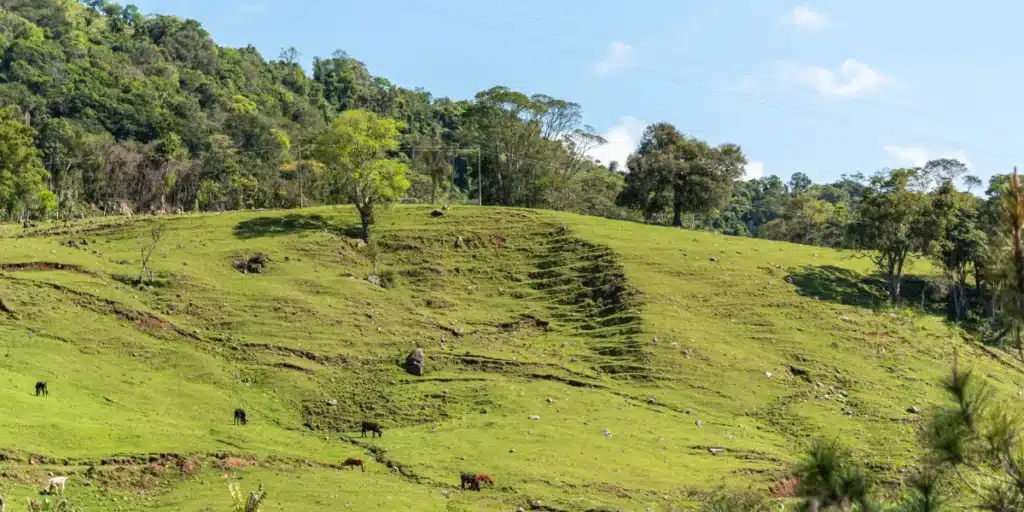 Dispensa Reserva Legal Pequena Propriedade