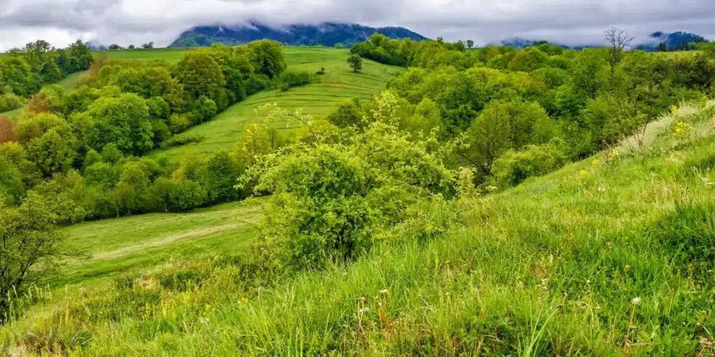 Venda de Terra para Reserva Legal